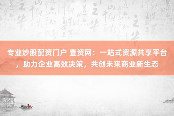 专业炒股配资门户 壹资网：一站式资源共享平台，助力企业高效决策，共创未来商业新生态