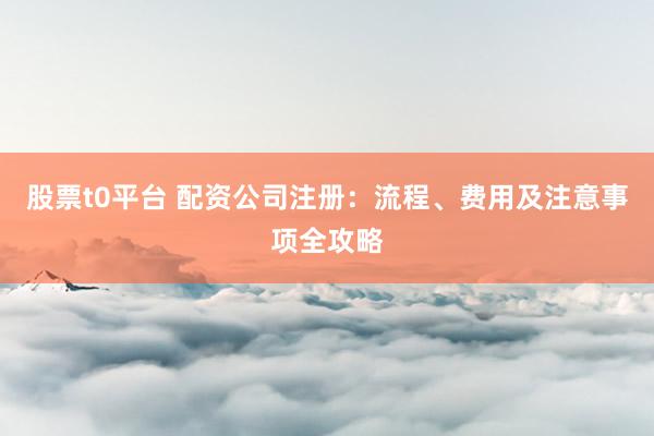 股票t0平台 配资公司注册：流程、费用及注意事项全攻略