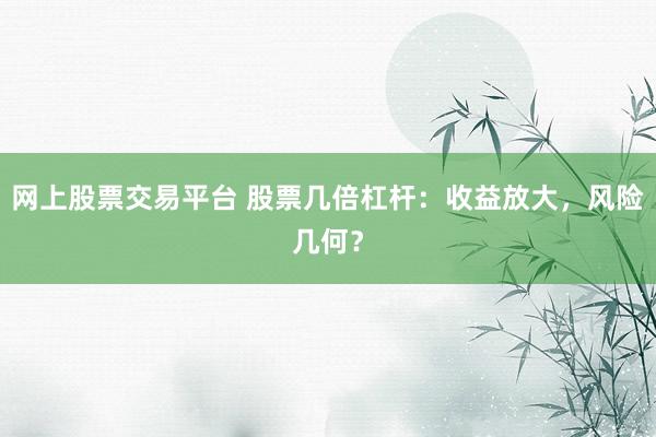 网上股票交易平台 股票几倍杠杆：收益放大，风险几何？