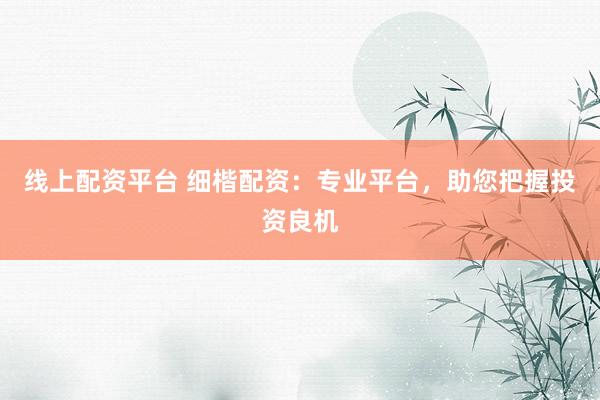 线上配资平台 细楷配资：专业平台，助您把握投资良机