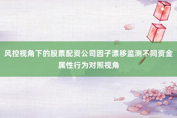 风控视角下的股票配资公司因子漂移监测不同资金属性行为对照视角